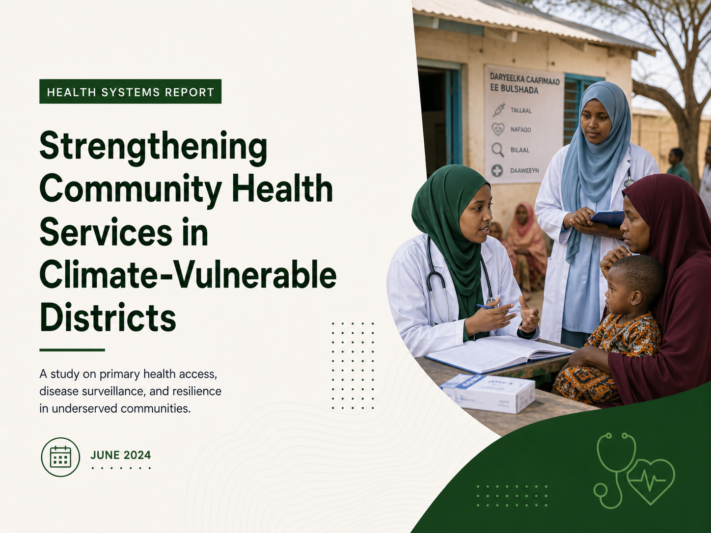 Community health services report cover