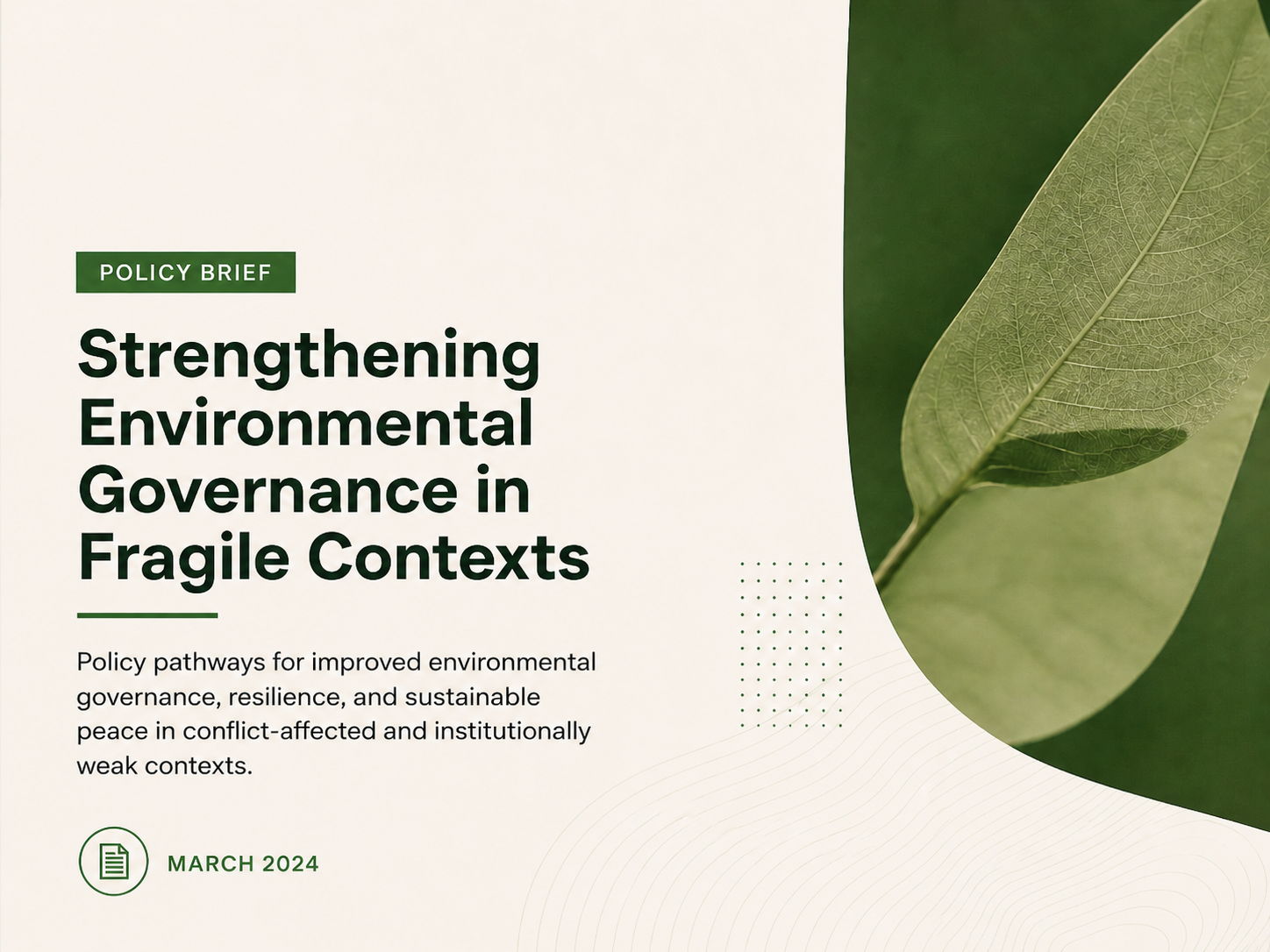 Environmental governance policy brief cover