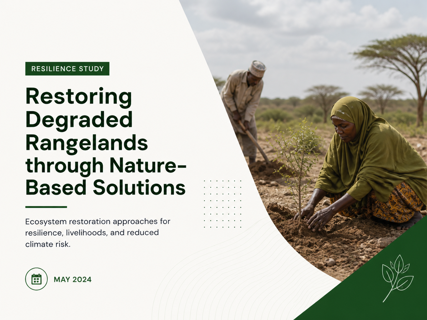 Rangeland restoration resilience study cover